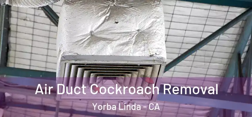 Air Duct Cockroach Removal Yorba Linda - CA