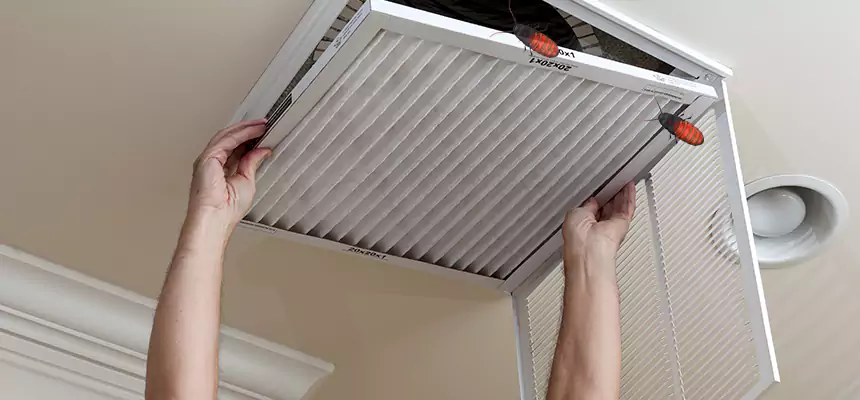 Preventive Cockroach-Proofing for Ducts in Yorba Linda