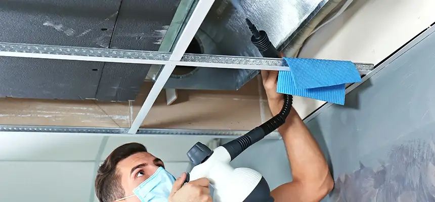 Our Air Duct Rodent Removal Services in Yorba Linda, CA