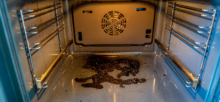 Our Dryer Vent Mold Cleaning Services in Yorba Linda, CA