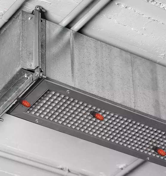 Affordable Insect Removal from Air Ducts in Yorba Linda, CA