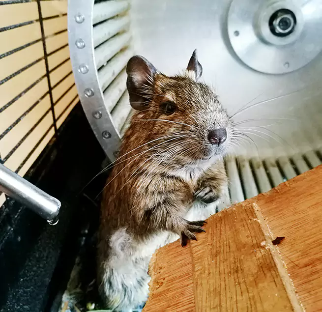 Why Homeowners & Businesses Trust Us Yorba Linda, CA