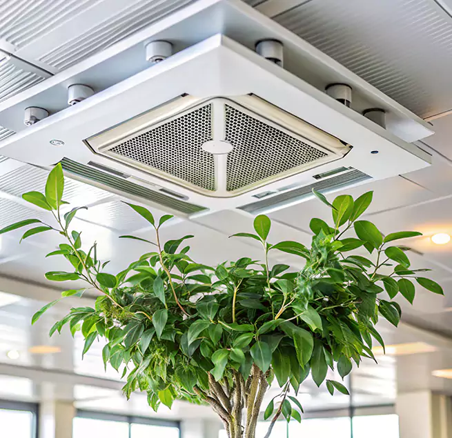 Why Homeowners & Businesses Trust Us in Yorba Linda, CA?