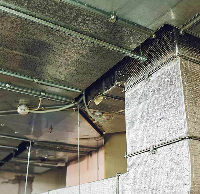 Why Homeowners & Businesses Trust Us in Yorba Linda, CA?